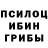 Галлюциногенные грибы GOLDEN TEACHER Galim Tolegen