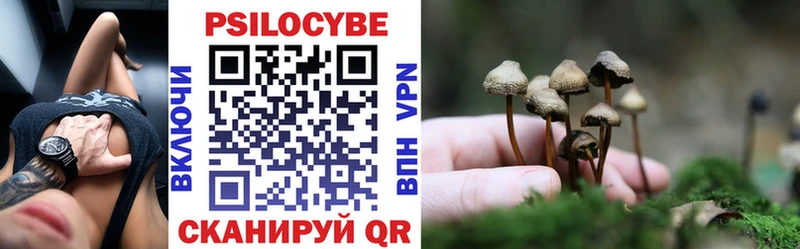 Галлюциногенные грибы MAGIC MUSHROOMS  Купить  Отрадный 