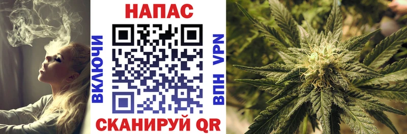 Марихуана OG Kush  Купить  Отрадный 